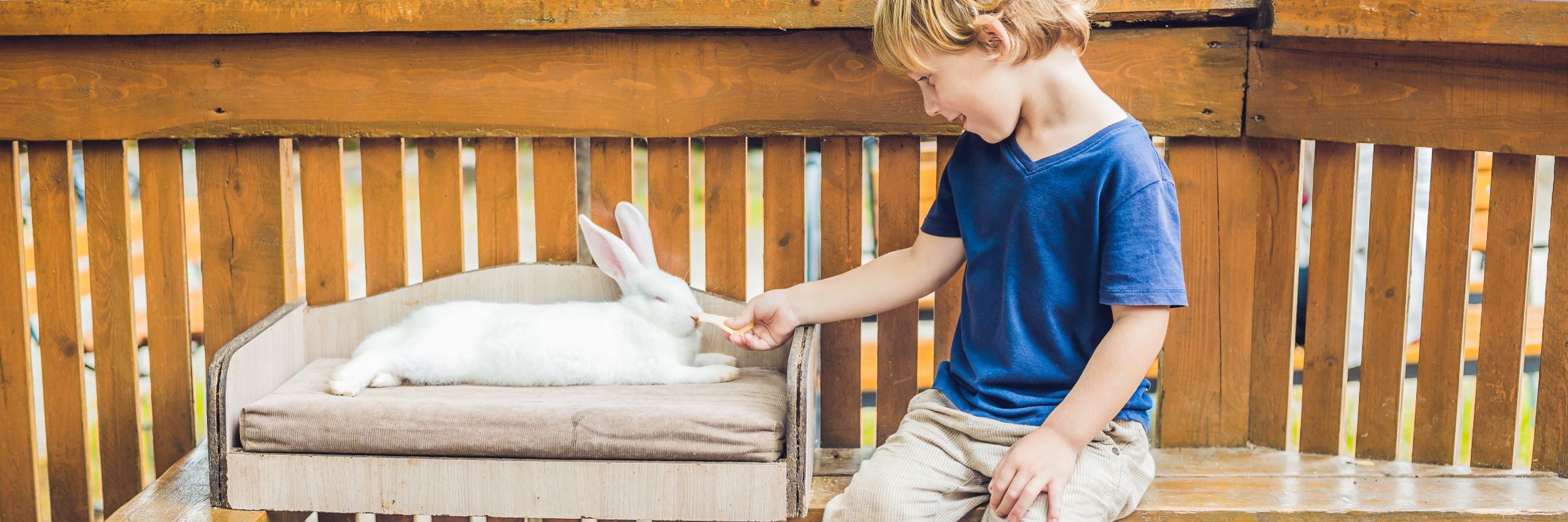 Im Umgang mit Tieren können Kinder spezielle Fähigkeiten wie Empathie entwickeln und Verantwortung übernehmen