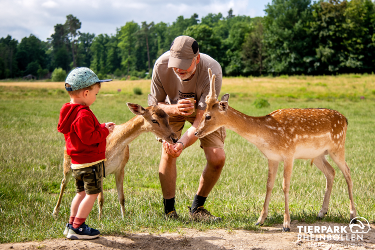 Im Tierpark Rheinböllen finden die nachhaltigen und biobasierten Pappbecher von greenbox großen Anklang bei Jung und Alt, Bambi und Feline!